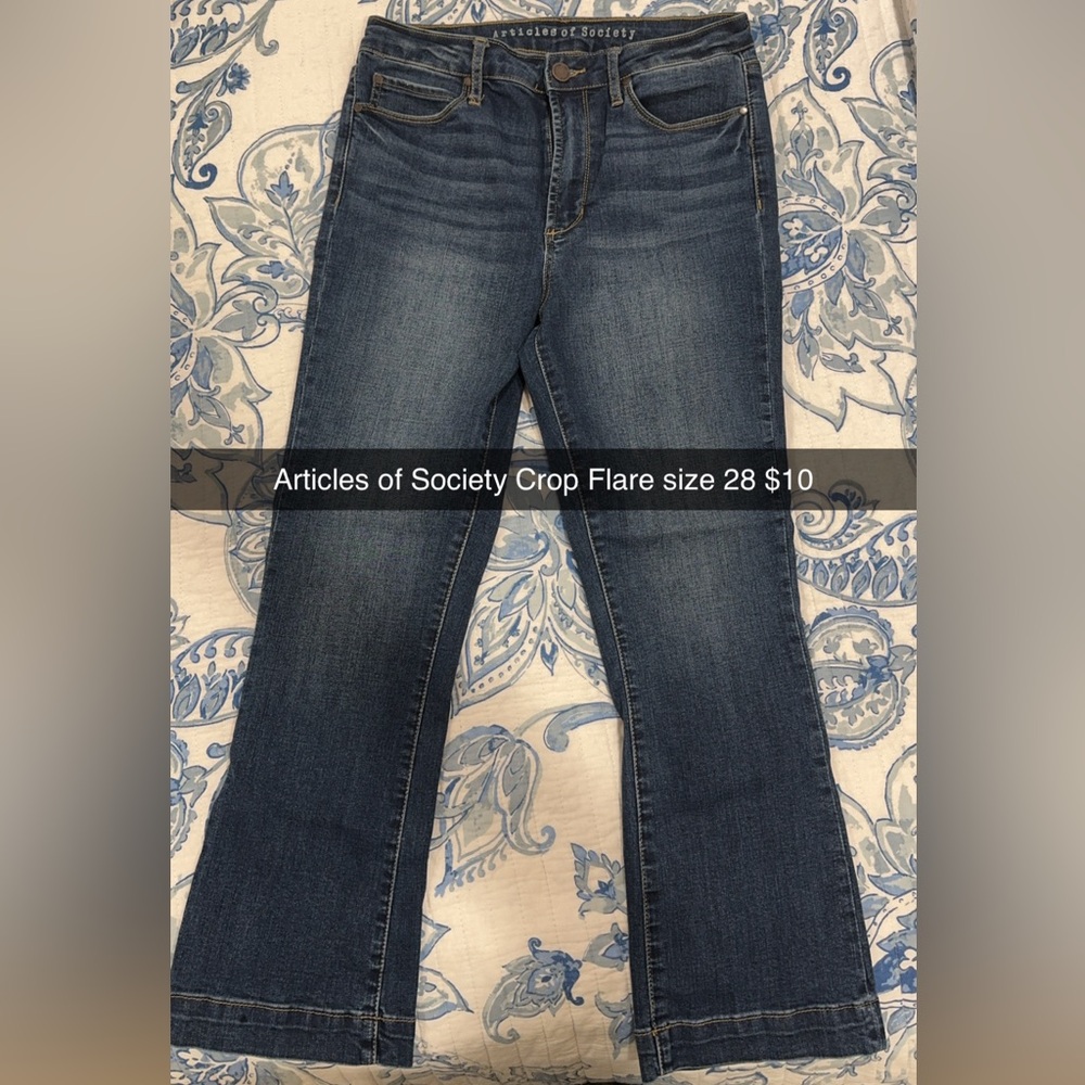 Articles of Society crop flare $10 Size 28